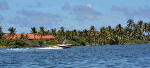 cruising through backwaters near pondicherry beach